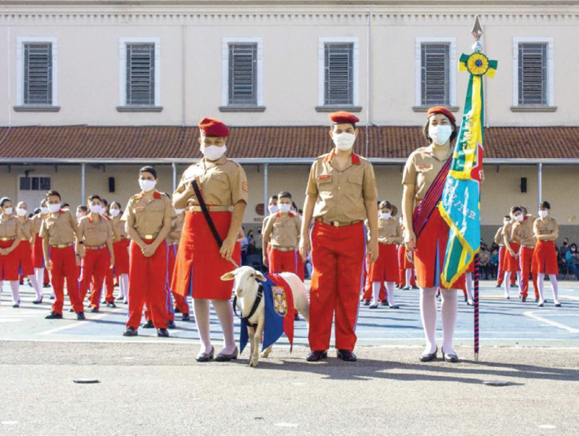 A Import Ncia Das Escolas Militares No Desenvolvimento Educacional E Social