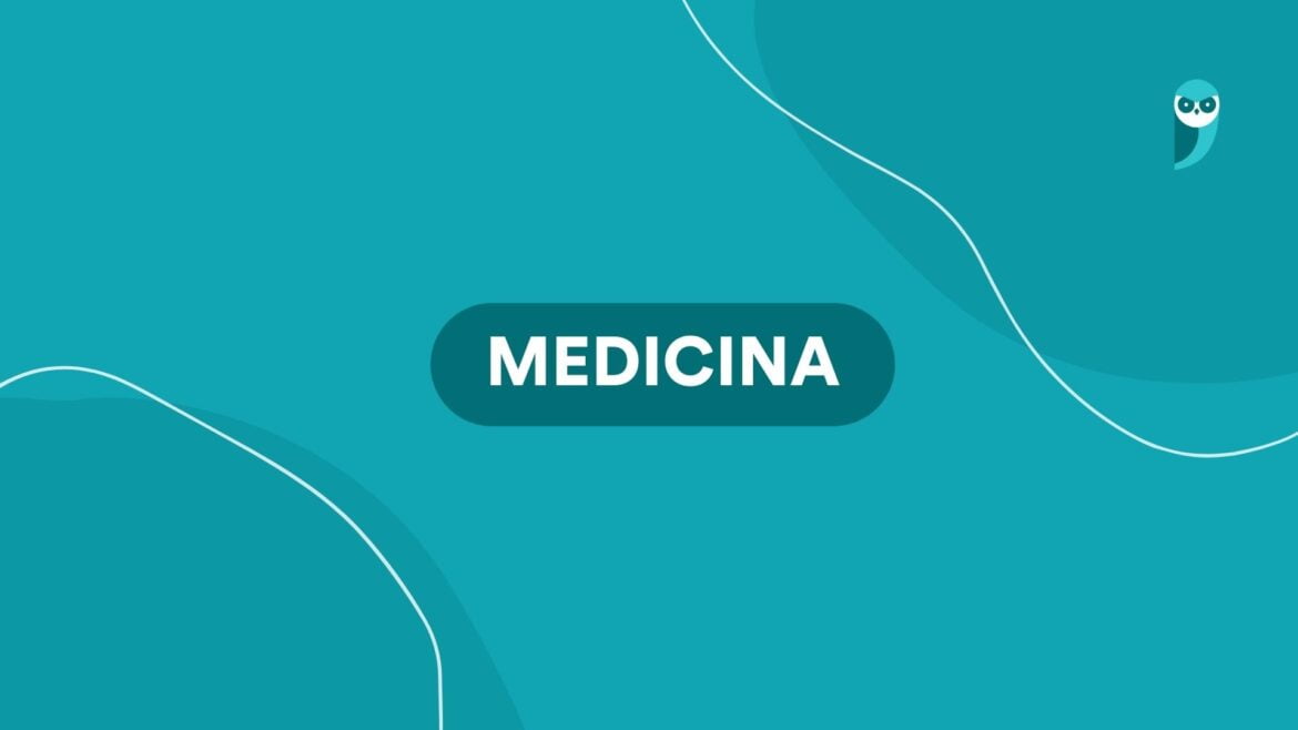 Guia para a revalidação de diplomas estrangeiros pela Plataforma Carolina Bori — Conheça o passo a passo para a revalidação de diplomas estrangeiros através da eficiente plataforma Carolina Bori.