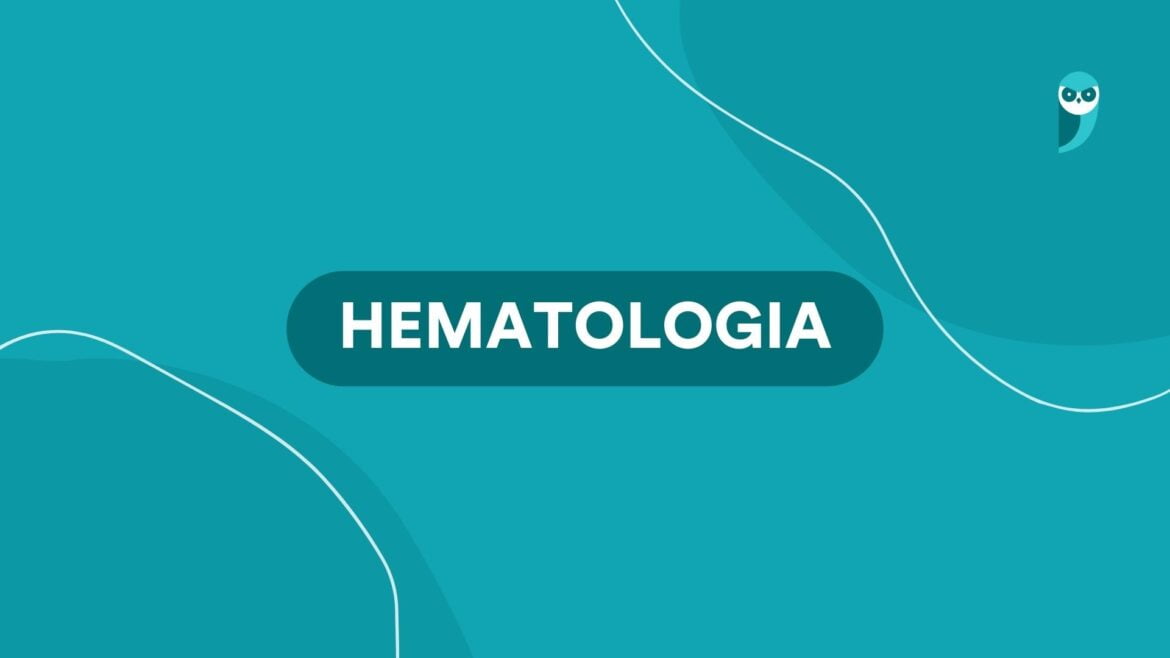 Hematologia: o que é, residência, atuação, remuneração e mais! — Confira um guia completo sobre a Hematologia, incluindo informações sobre a residência médica, áreas de atuação, salário e muito mais!