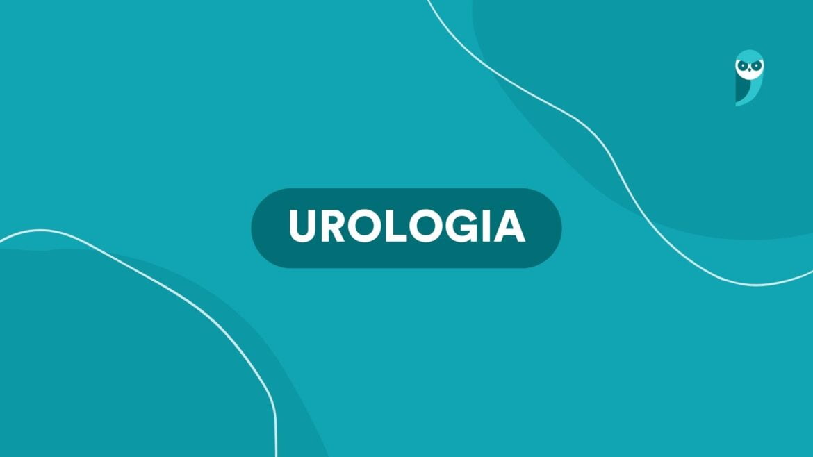 Urologia: o que é, residência, atuação, remuneração e mais! — Confira um guia completo sobre a Urologia, incluindo informações sobre a residência médica, áreas de atuação, salário e muito mais!