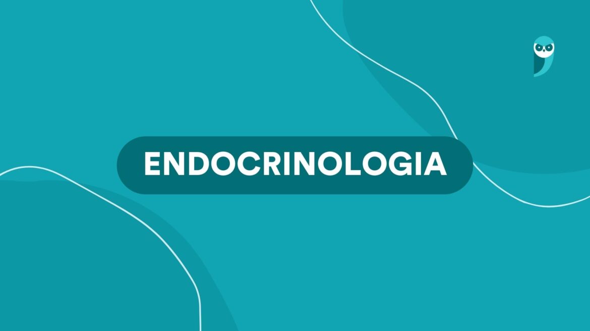 Endocrinologia: o que é, residência, atuação, remuneração e mais! — Confira um guia completo sobre a Endocrinologia, incluindo informações sobre a residência médica, áreas de atuação, salário e muito mais!