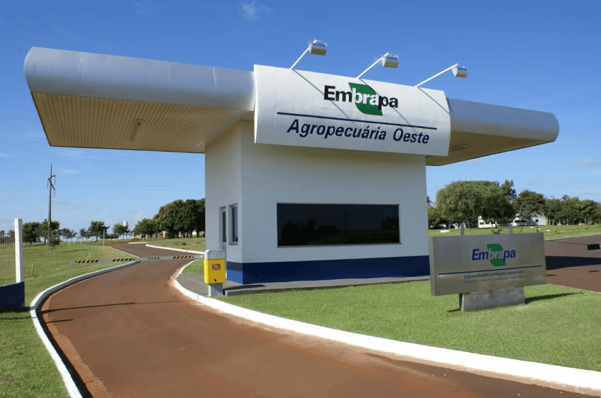 Fotografia da EMBRAPA Empresa Brasileira de Pesquisa Agropecuária