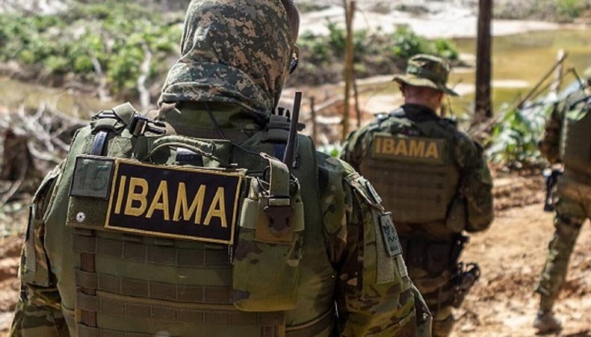 Como trabalhar no IBAMA?