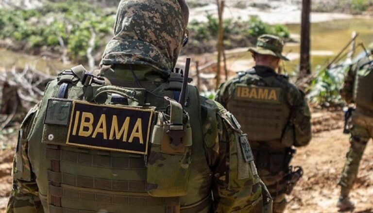 Como trabalhar no IBAMA? Guia para prestar o concurso!